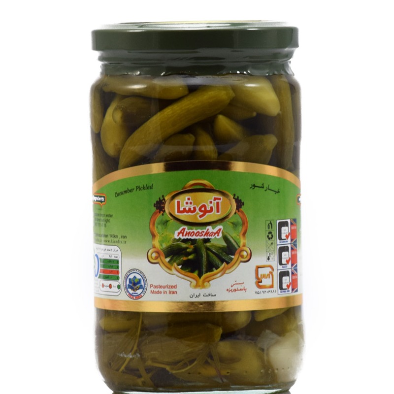 خیار شور آتوشا680 گ