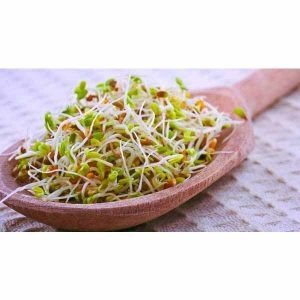 جوانه گندم 250گرمی