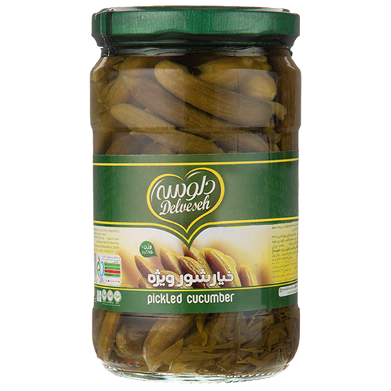 خیارشور ویژه750گرم دلوسه